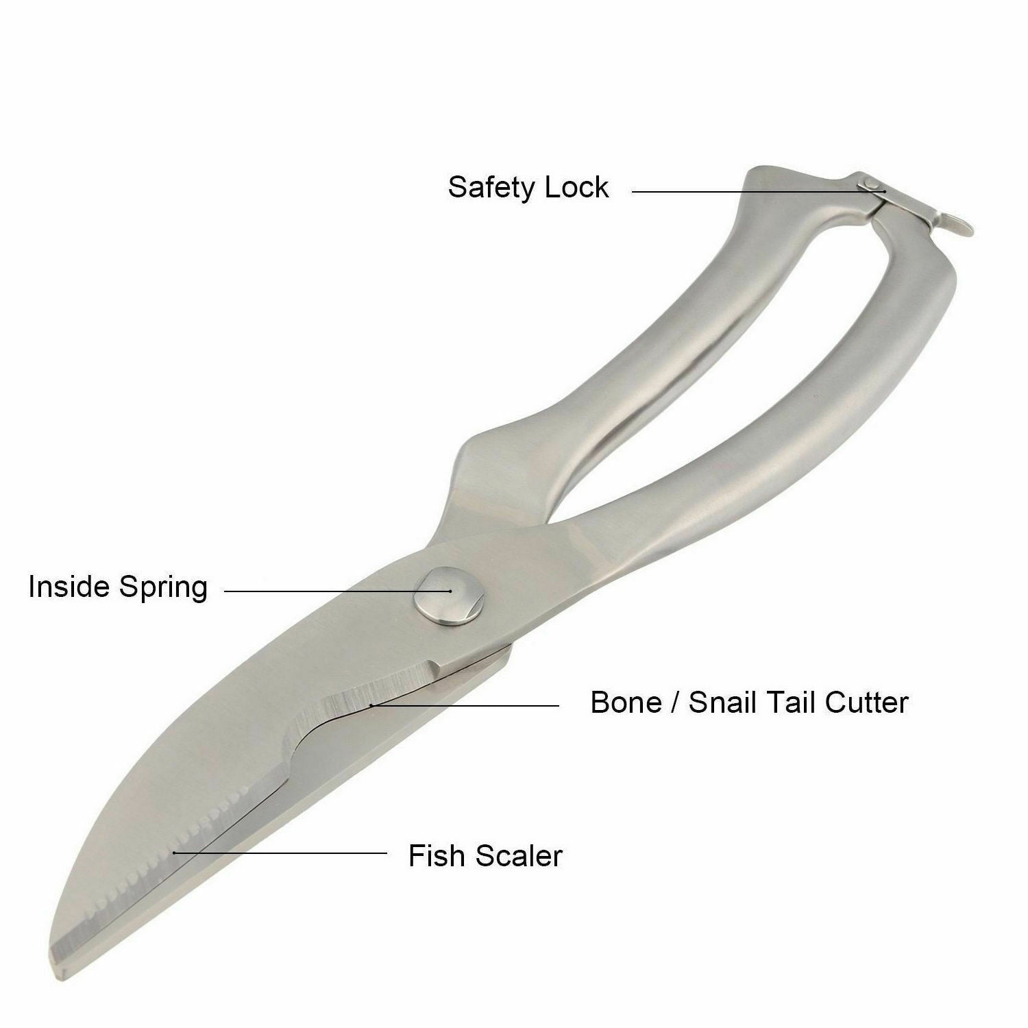 Poultry Fish Chicken Bone Scissors