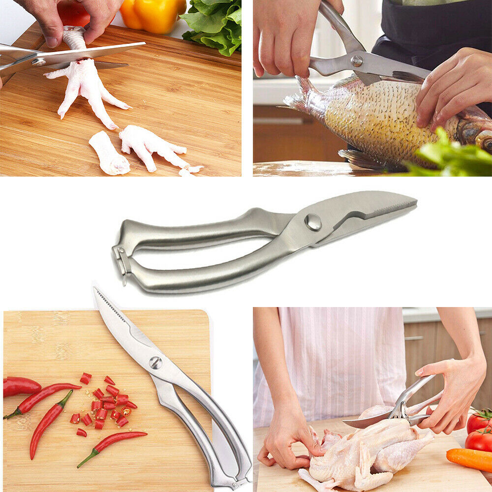 Poultry Fish Chicken Bone Scissors