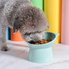 Pet Dog Bowl with Raised Stand