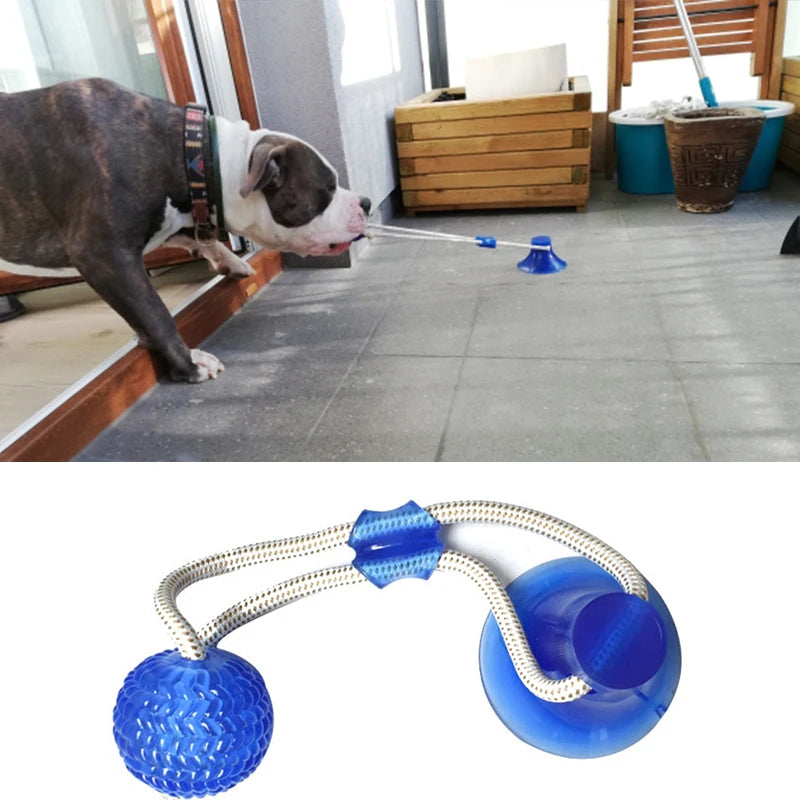 Pet Dog Interactive Rubber Balls Toy