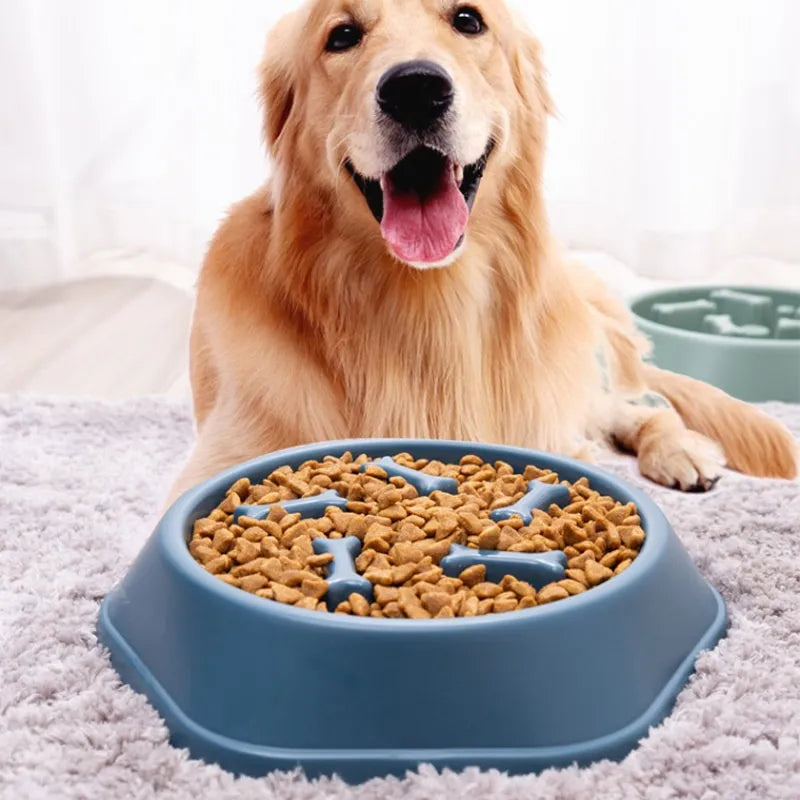 Pet Slow Food Bowl Anti-choking Feeder PP Plastic Dish Bowl Home Dog Eating Plate Anti-gulping Feeding Supplies