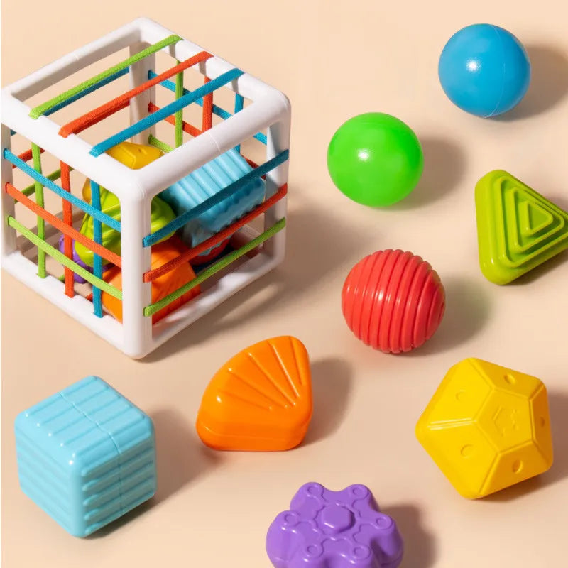 Montessori Colorful Shape Blocks