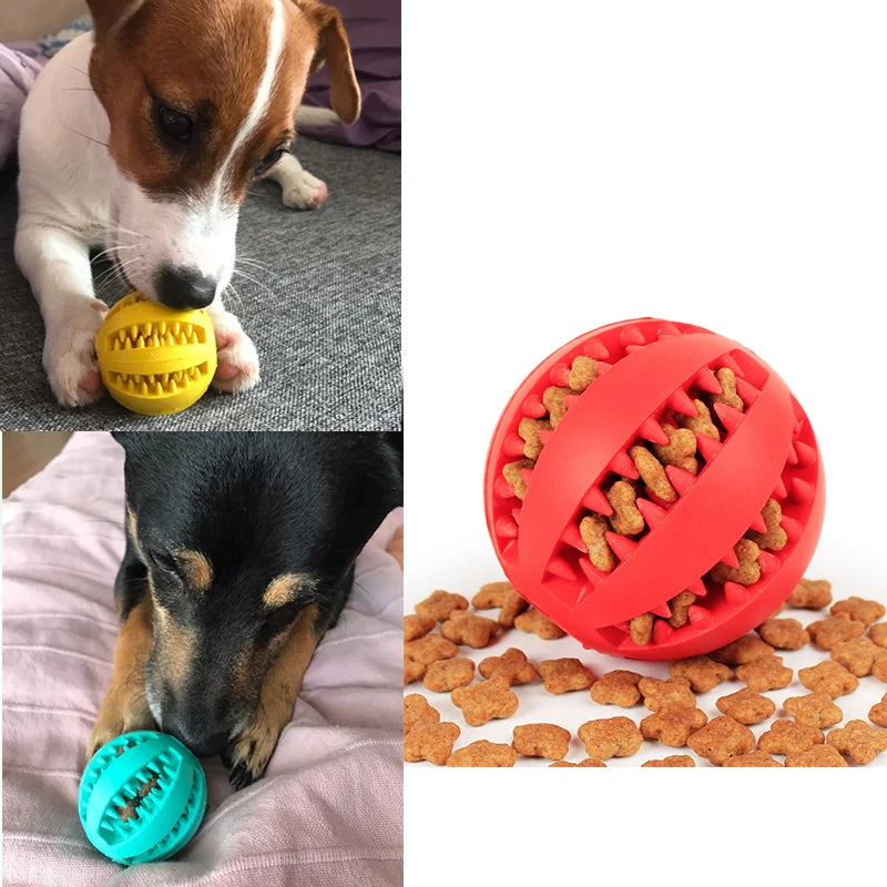 Pet Dog Interactive Rubber Balls Toy