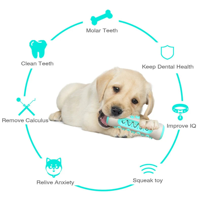 Dog Molar Toothbrush Toys