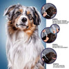 Dog Anti Flea And Tick Collars