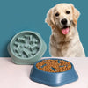 Pet Slow Food Bowl