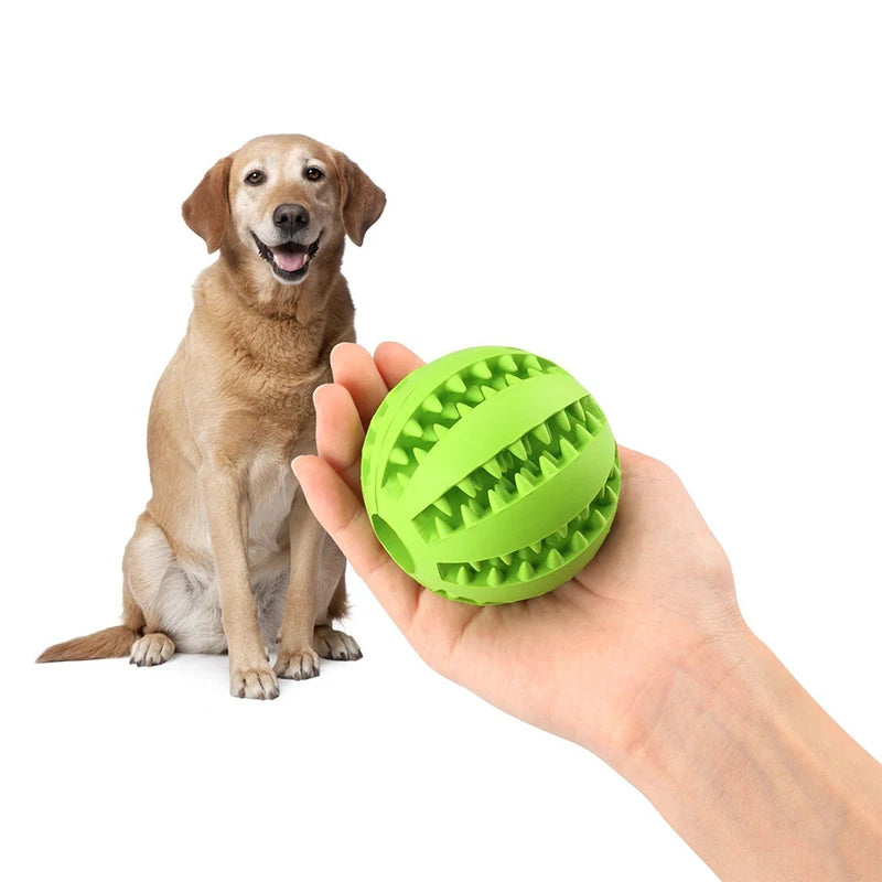 Pet Dog Interactive Rubber Balls Toy