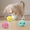 Cat Smart Interactive Ball Toys