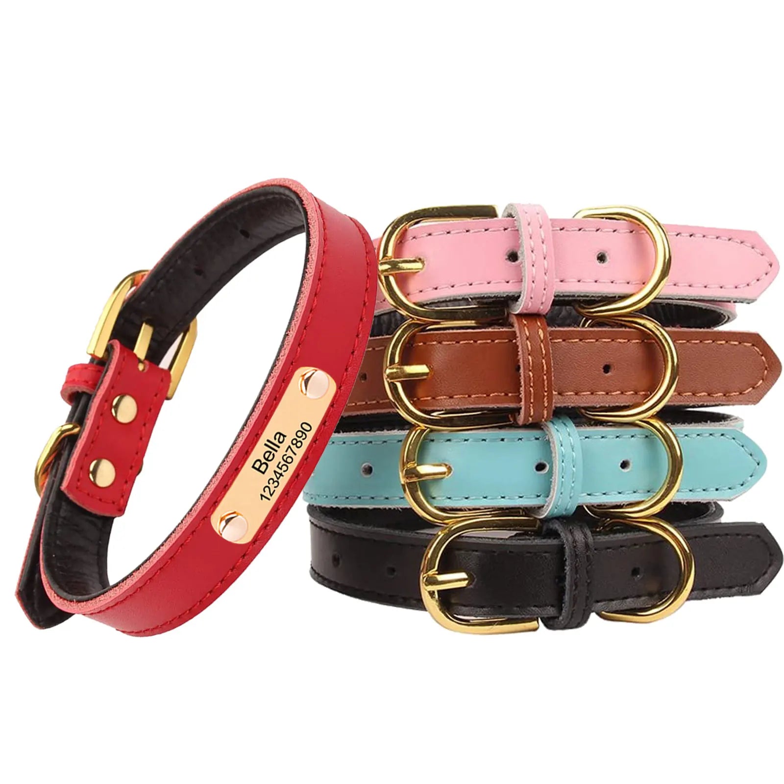 Personalized Leather Padded Dog Collar